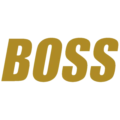 Team BOSS CS2 Settings