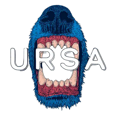 Team Ursa CS2 Settings