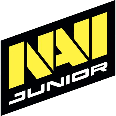 Team NAVI Junior CS2 Settings