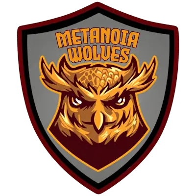 Team METANOIA Wolves CS2 Settings