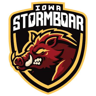 Team Iowa Stormboar CS2 Settings