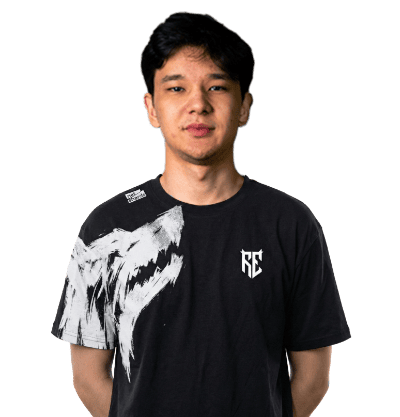 dako player photo
