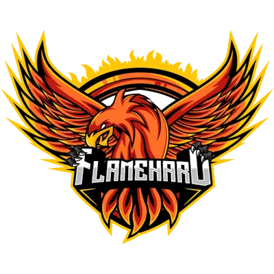 Team FlameHard CS2 Settings