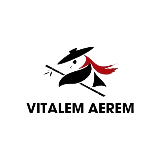 Team Vitalem Aerem CS2 Settings